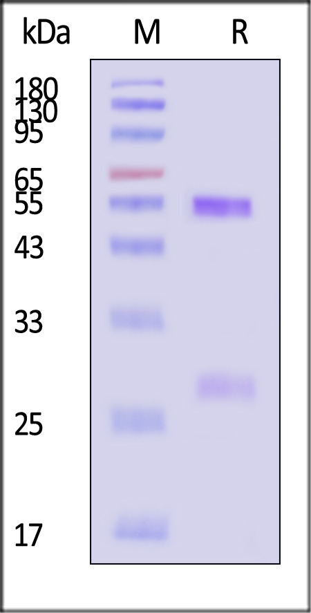 SFN-M764-sds