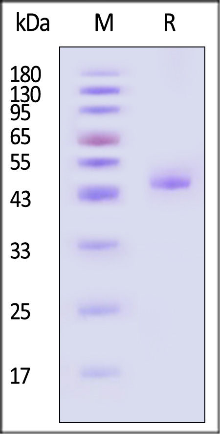 TNA-M5257-sds