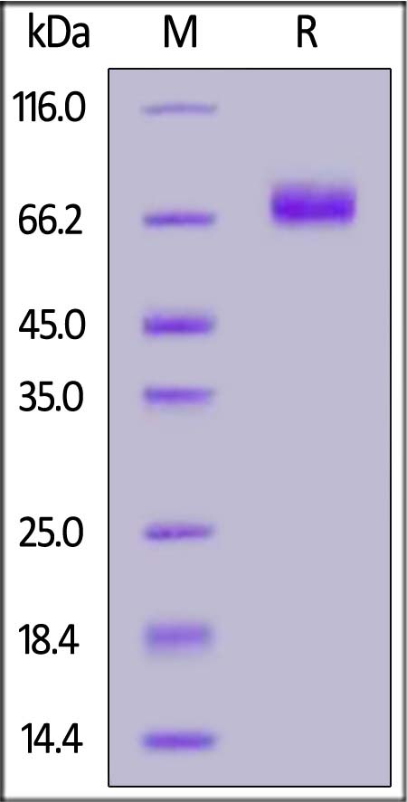 UPR-H5254-sds