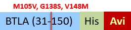 BTA-H82F5-structure