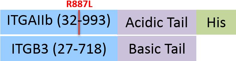 IT3-H52W8-structure