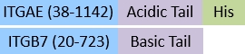 IT7-C52W3-structure