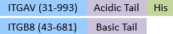 IT8-C52W9-structure