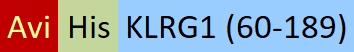 KL1-C82Q4-structure