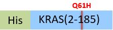 KRS-H51H5-structure