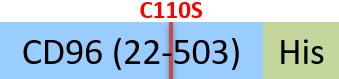 TAE-H52H0-structure