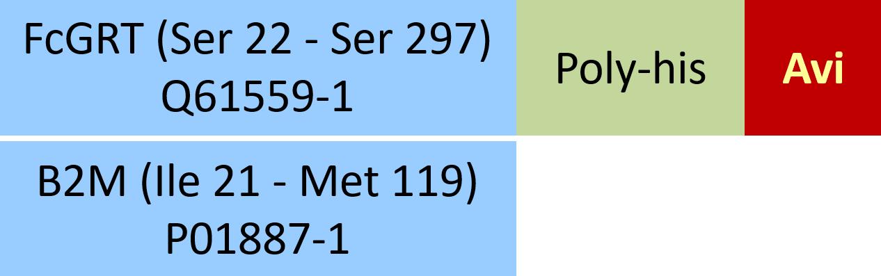 Online(Ser 22 - Ser 297 (FCGRT) & Ile 21 - Met 119 (B2M)) Q61559-1 (FCGRT) & P01887-1 (B2M)