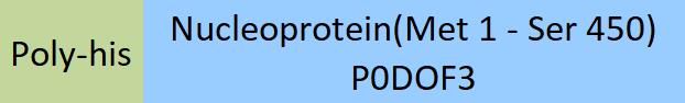 Nucleoprotein (RABV) Structure