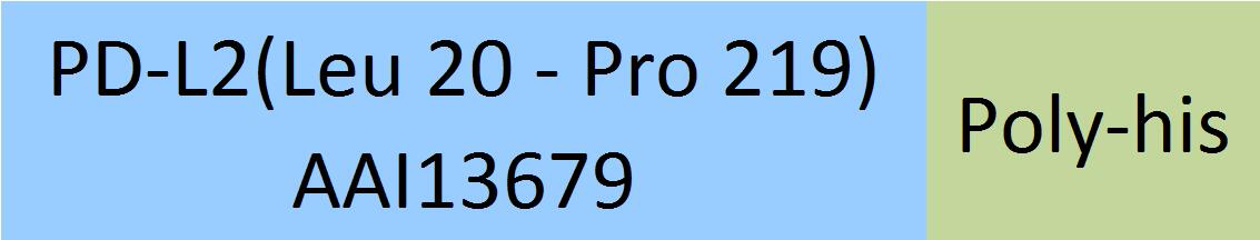 PD-L2 Structure