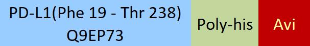 PD-L1 Structure