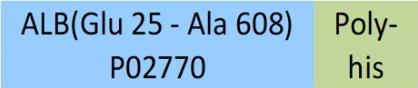 Serum Albumin Structure