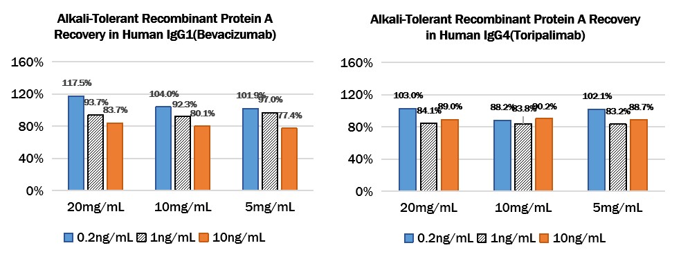  protein A (SuRe) RECOVERY